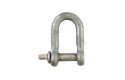 Thumbnail of 20mm-dee-shackles-bzp-e-galv_339899.jpg