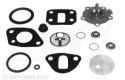 Thumbnail of fuel-pump-repair-kit_434487.jpg