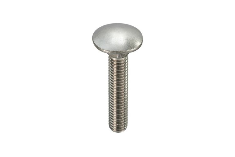 M10 X 100MM CARRIAGE BOLT (A2)