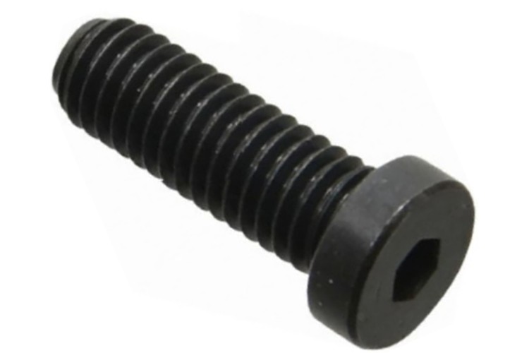 M10 X 16MM LOW HEAD SOCKET CAP SCREW (10.9) (SELF COLOUR)