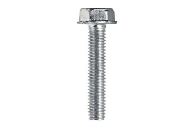 M10 X 30MM FLANGE THREAD FORMING SCREW (ZINC) (TRITAP®)