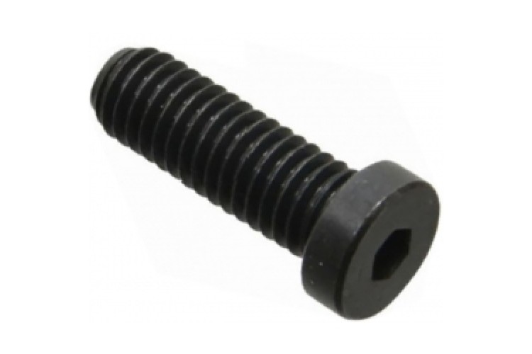 M10 X 60MM LOW HEAD SOCKET CAP SCREW (10.9) (SELF COLOUR)