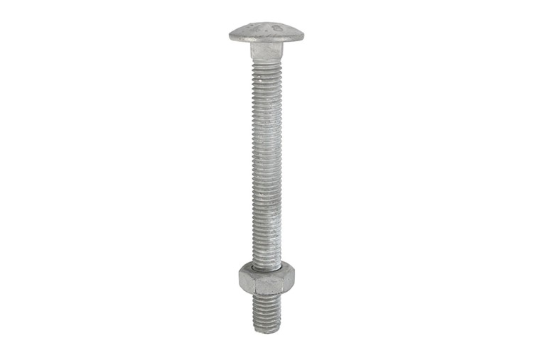 M12 X 100MM CARRIAGE BOLT & NUT (GALV) (4.8)